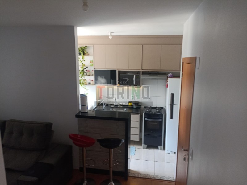 Apartamento - Vila Guiomar - Ribeirão Preto