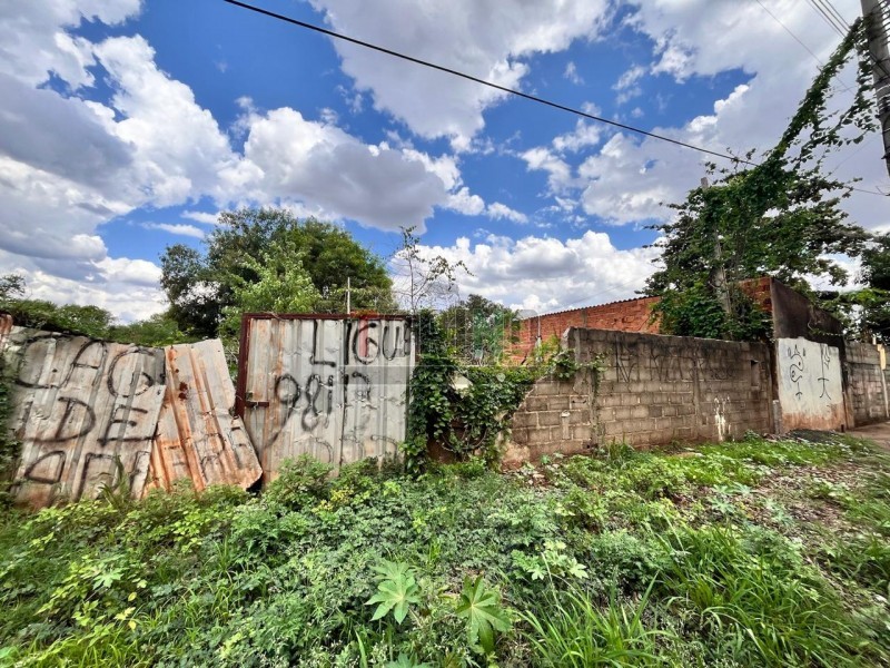 Área - Chácaras Pedro Correa de Carva - Ribeirão Preto